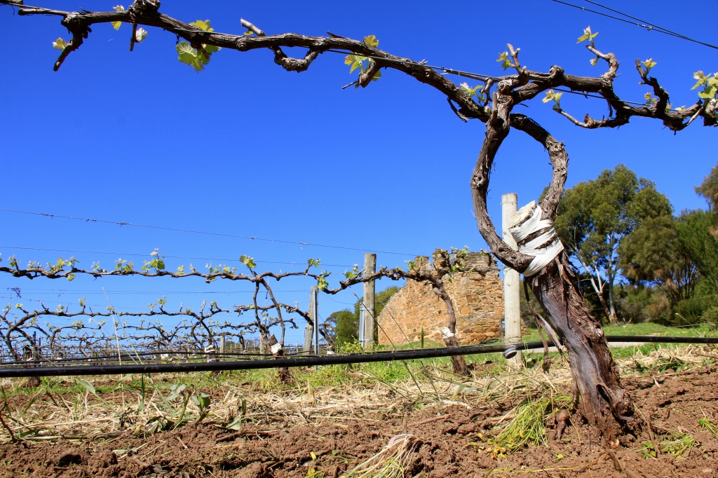 Australian Winegrowing - photo by The Wine Idealist
